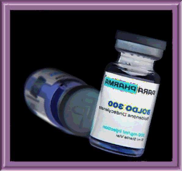 Buy Boldenone 300 by Pharmaqo Labs in USA without a prescription
